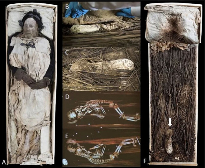 Разгадана тайна младенца, обнаруженного в гробу епископа XVII века