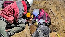 В Тибете найдены останки древнейшего человека