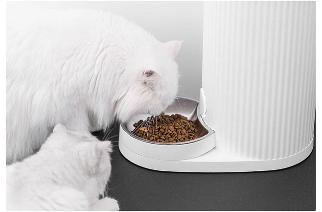 Xiaomi анонсировала умные устройства для кормления домашних животных 
