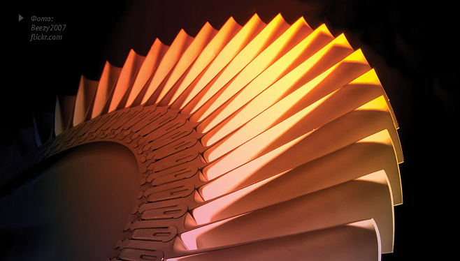 История одной лопатки