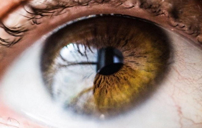 Живущие на глазах бактерии могут оказаться полезнее, чем считалось ранее