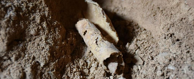 Вся коллекция свитков Мертвого моря в музее США оказалась подделкой