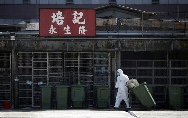 В Гонконге создали химическое вещество, замедляющее распространение вирусных заболеваний