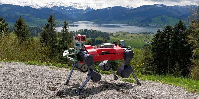 Как роботы учатся передвигаться по труднопроходимой местности