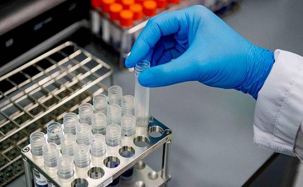 Учёные Петербурга примут участие в разработке международного стандарта против коронавируса