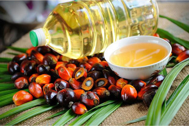 Жирную кислоту из пальмового масла связали с развитием метастазов