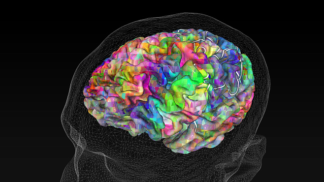 Когнитивисты выяснили, как мозг человека выбирает значение для восприятия многозначных слов