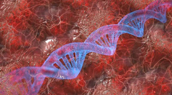 Генетический редактор CRISPR теперь способен выявлять антитела у пациентов