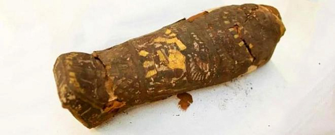 Мумия сокола оказалась мумией мертворожденного ребенка