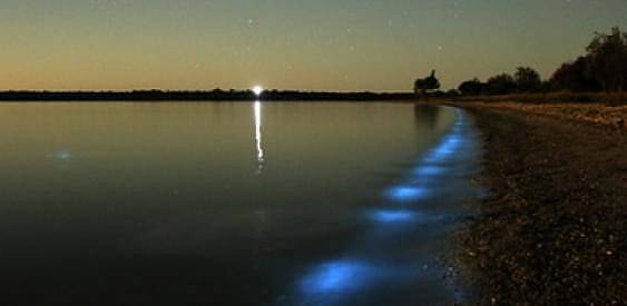 "Неоновое" озеро в Австралии