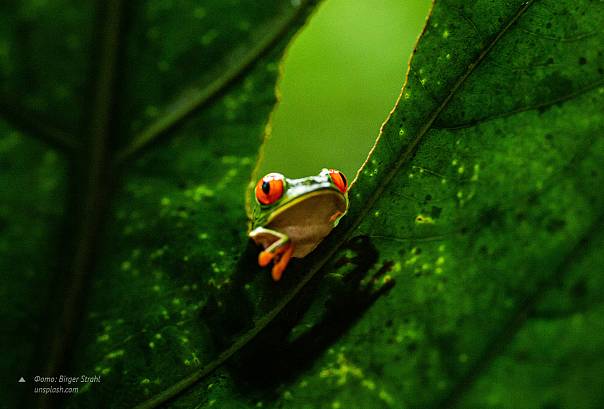 Механизм успеха: ноябрь 2025