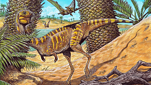 В Бразилии обнаружили останки редкого вида беззубого динозавра 