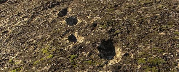 Загадочные следы говорят о том, что неандертальцы поднимались на вулкан сразу после извержения