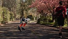 Робот орегонских учёных совершил забег на пять километров