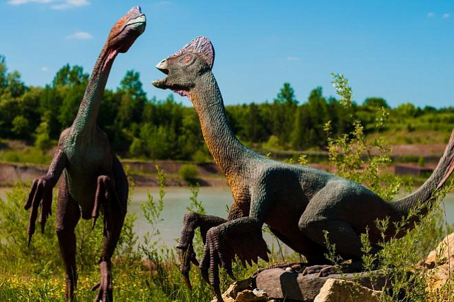 Резкое падение CO2 помогло динозаврам совершить путешествие в 10 000 км 
