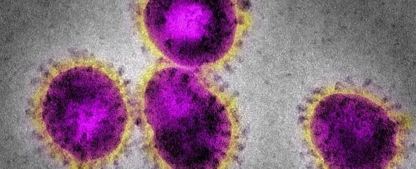Коронавирус не похож на грипп по ряду причин