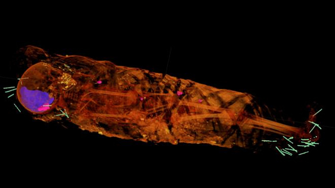 Ускоритель частиц обнаружил кое-что интересное внутри 2000-летней мумии 