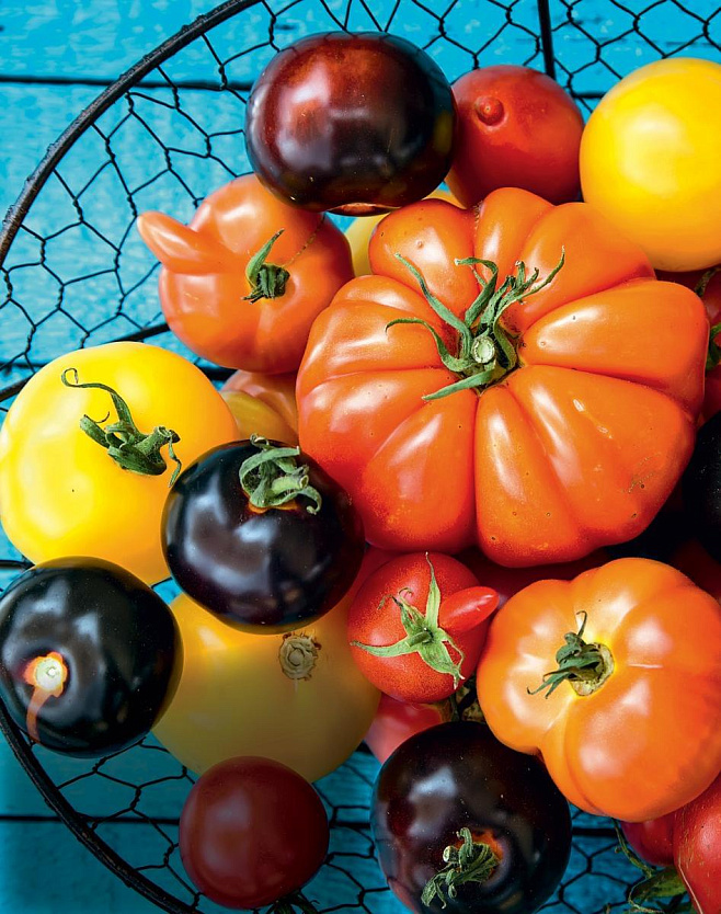 Что делать, если томаты перекормили: как спасти растения