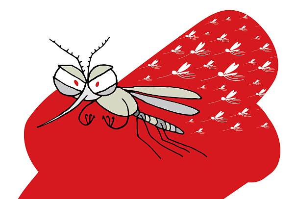 Кровожадные малютки и средства против них: как бороться с комарами 