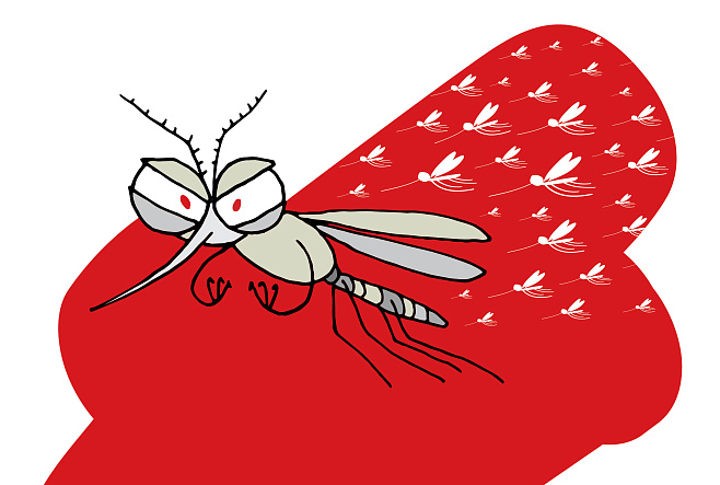Кровожадные малютки и средства против них: как бороться с комарами 