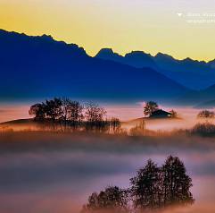 Механизм успеха: январь 2026