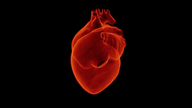 Пластырь со стволовыми клетками восстановит поврежденное сердце 