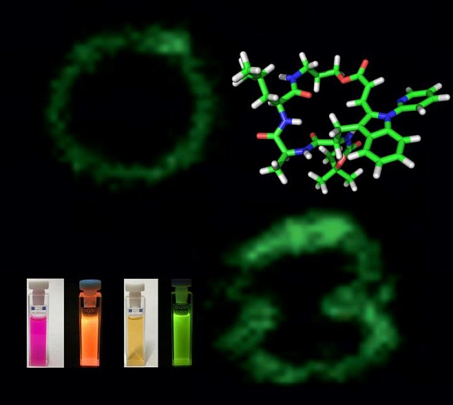 Разработан новый метод «подсветки» биомолекул 