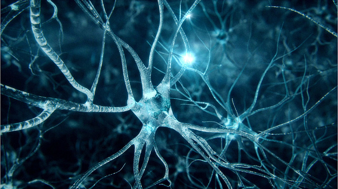 Развитие нейродегенеративных заболеваний связано с количеством сероводорода в мозге