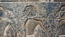 Вторжение гиксосов в Египет 3600 лет назад оказалось восстанием иммигрантов 