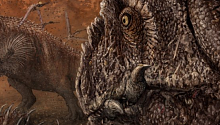 Учёные: каннибализм и убийства родственнников были свойственны динозаврам