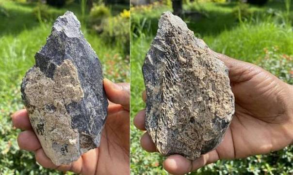 Обнаружено рубило, сделанное доисторическими людьми вида homo erectus