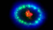 Астрономы нашли потерянную в 1987 году нейтронную звезду 