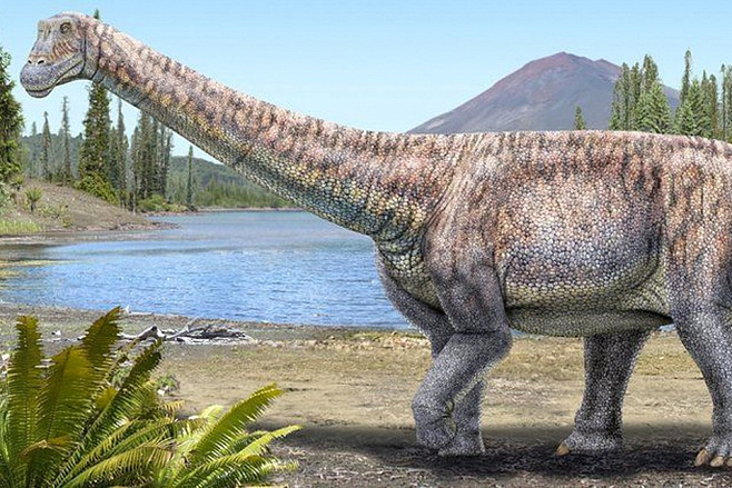 Найденные в 90-х останки костей принадлежали ранее неизвестному виду динозавров