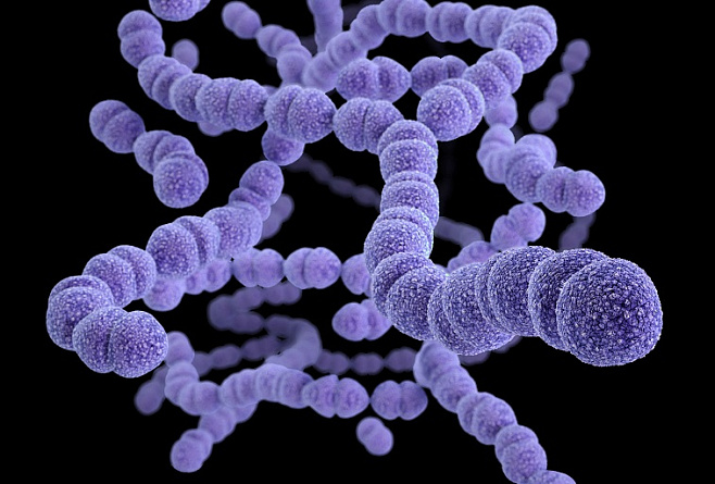 Новая группа молекул уничтожает бактерии, устойчивые к антибиотикам