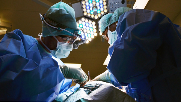 Ученые СПбГУ нашли «безопасную» зону для проведения операций при ишемии нижних конечностей