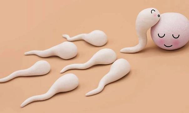 Поздний сон влияет на качество спермы у мужчин