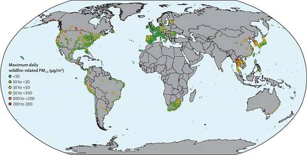 Смертность в результате воздействия дыма лесных пожаров увеличилась