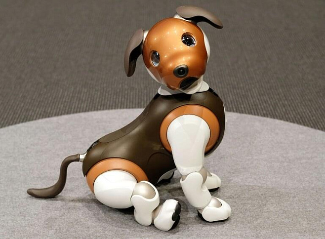 Sony показала своего нового роботизированного щенка