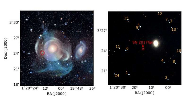 Получены новые данные о свойствах взорвавшейся звезды SN2017 fgc