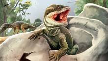 Обнаружен древнейший предок всех рептилий