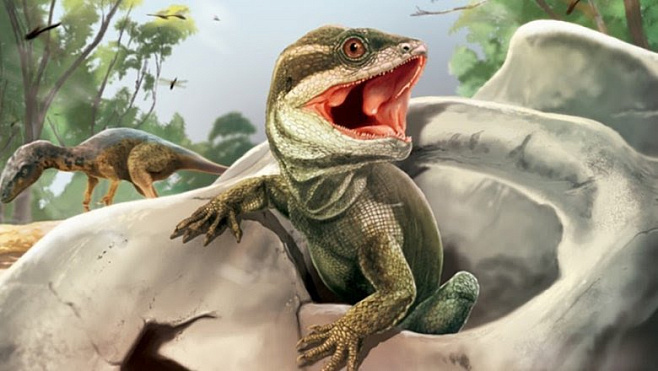 Обнаружен древнейший предок всех рептилий