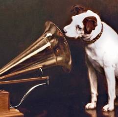 Неспешная эпоха винила