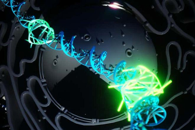 Новая форма ДНК впервые обнаружена в здоровых клетках человека 