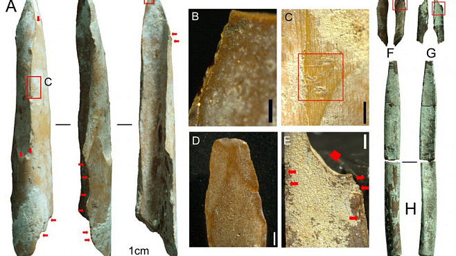 Найдены одни из древнейших костяных орудий народов Австралии