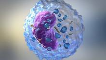 Магнитные наночастицы повысят действенность иммунотерапии
