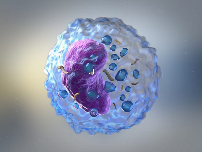 Магнитные наночастицы повысят действенность иммунотерапии