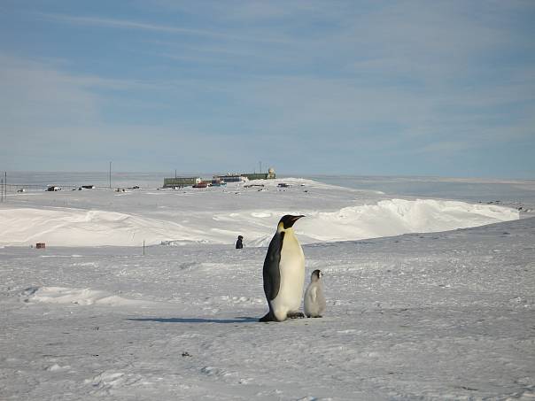 70 лет российской антарктической станции Мирный