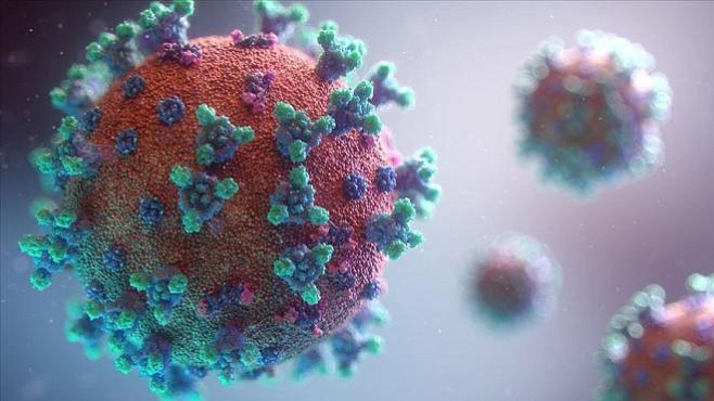 Учёные: обычная простуда может частично обеспечить иммунитет против COVID-19