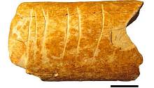 В Израиле нашли, вероятно, древнейший в мире символический объект 
