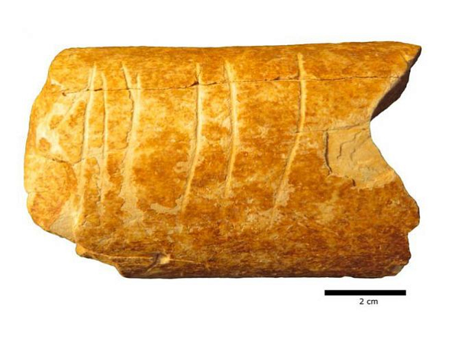 В Израиле нашли, вероятно, древнейший в мире символический объект 